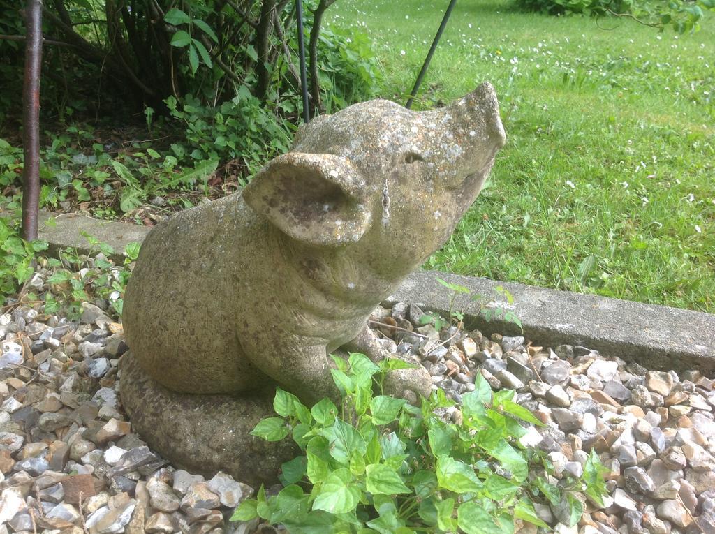 Au Fond Du Jardin Maison D'Hotes แซ็งต์-ซ็องส์ ภายนอก รูปภาพ