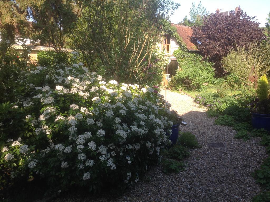 Au Fond Du Jardin Maison D'Hotes แซ็งต์-ซ็องส์ ภายนอก รูปภาพ