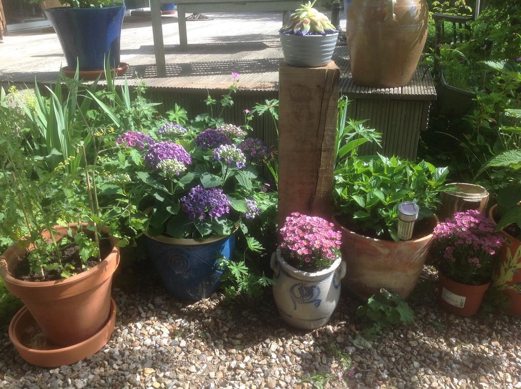 Au Fond Du Jardin Maison D'Hotes แซ็งต์-ซ็องส์ ภายนอก รูปภาพ